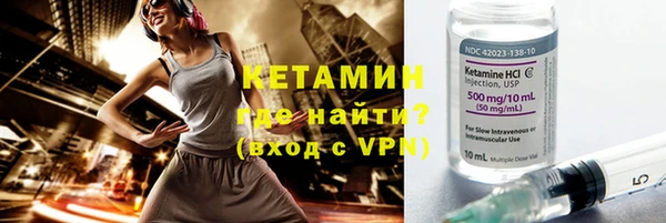 прущие грибы Ельня