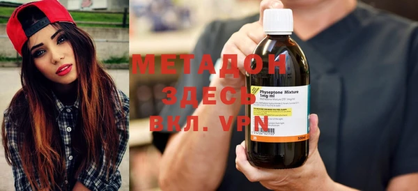 прущие грибы Ельня