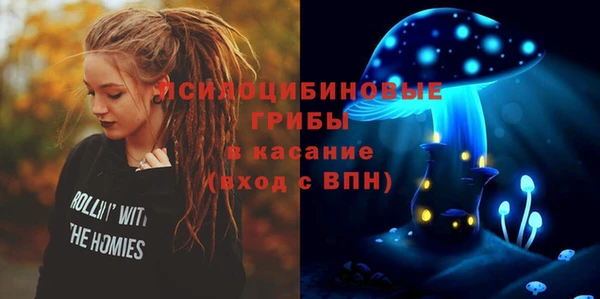 прущие грибы Ельня