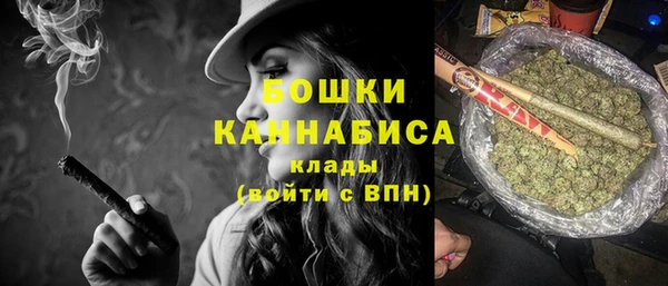 прущие грибы Ельня