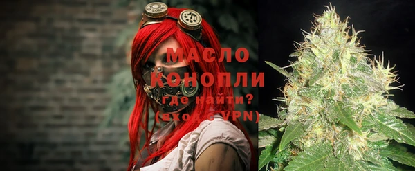 прущие грибы Ельня